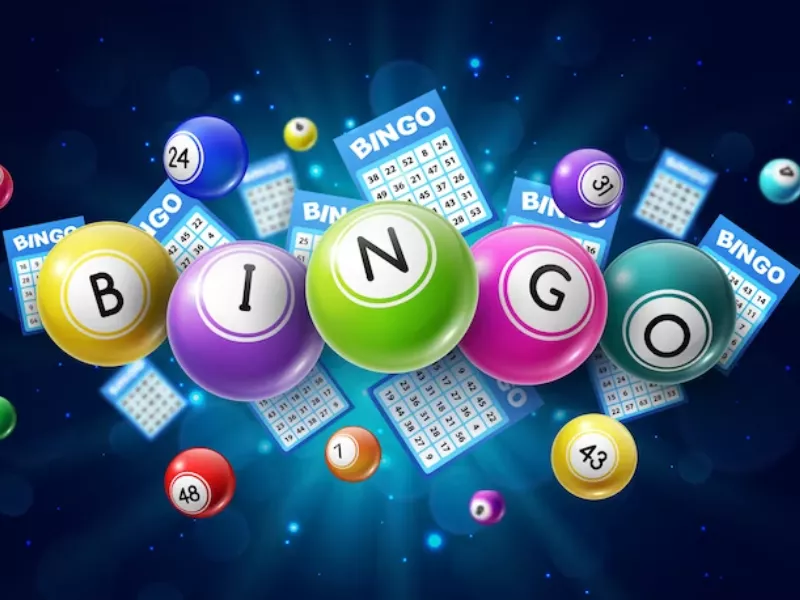 How Bingo Players Achieved Big Wins in Hawkplay Casino - Hawkplay