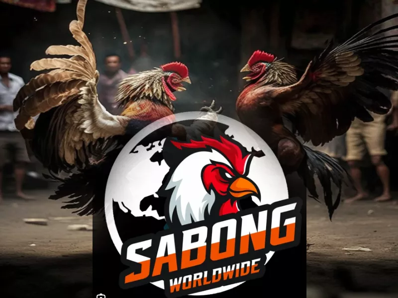 WPC Online Sabong: The New Era of Digital Cockfighting - Hawkplay