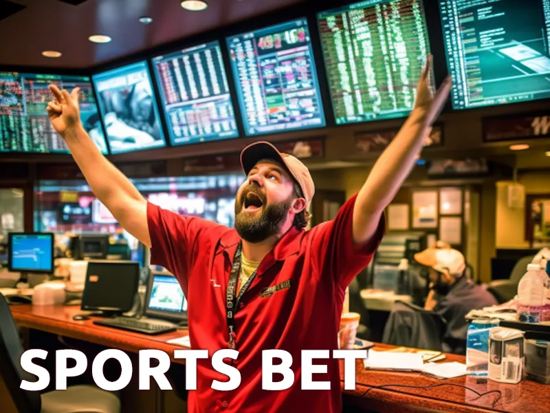 Why Hawkplay Sports Bet is the Best for Sports Enthusiasts - Hawkplay
