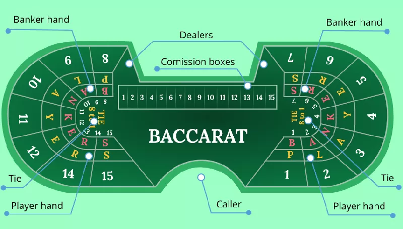 Understanding the Baccarat Table