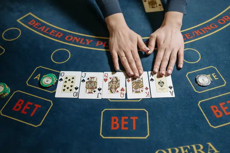 What You Need to Know about HAWKPLAY Online Casino - Hawkplay