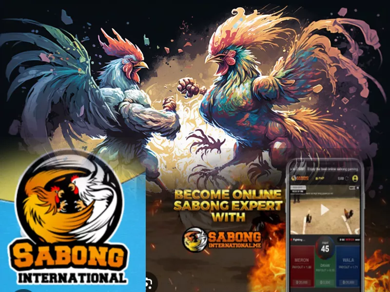 Understanding Sabong International: Your Comprehensive Guide 2003 - Hawkplay