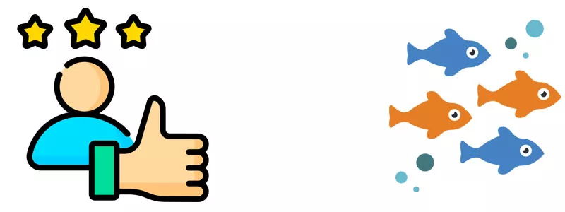 Graphics and User Interface