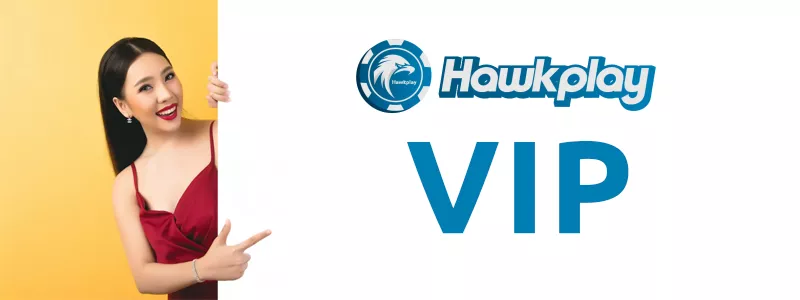 Understanding Hawkplay