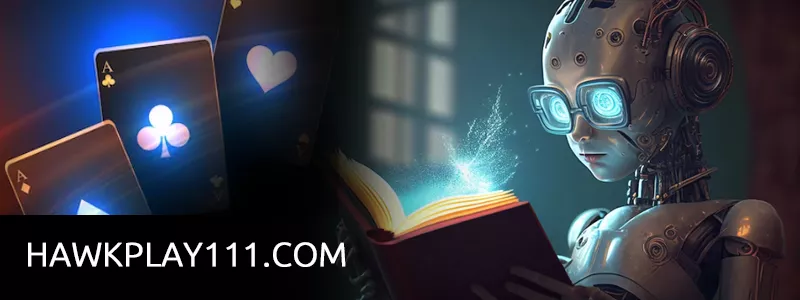 Introduction of Hawkplay Net