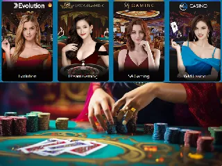 4 Top Live Casino Providers at Hawkplay