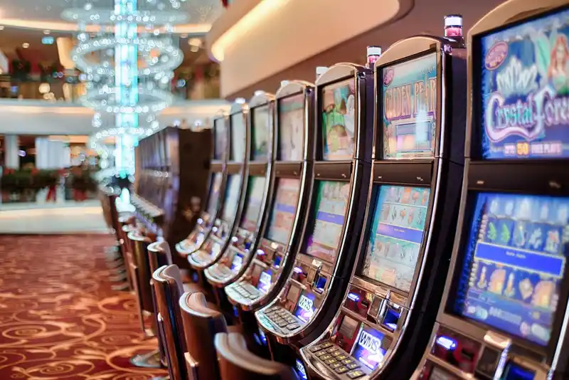 Hawkplay Digital Online Betting College - Hawkplay