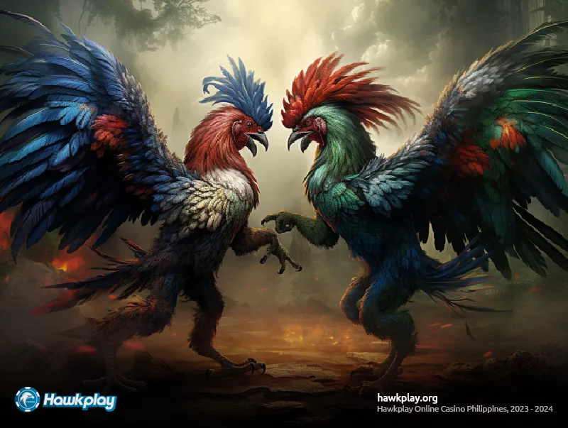 Hawkplay 888: Your Sabong Betting Paradise - Hawkplay