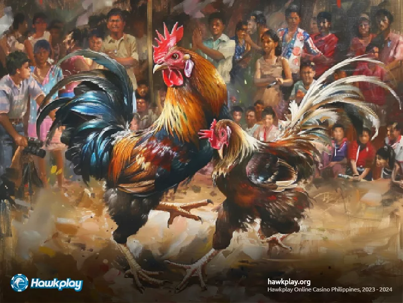 Experience Top-Notch Sabong Betting at Sabong International - Hawkplay