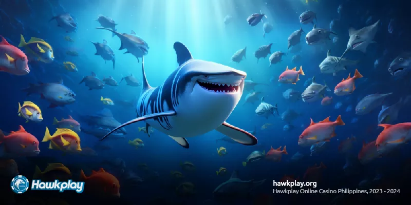 The Aquatic World Awaits: A Visual Feast