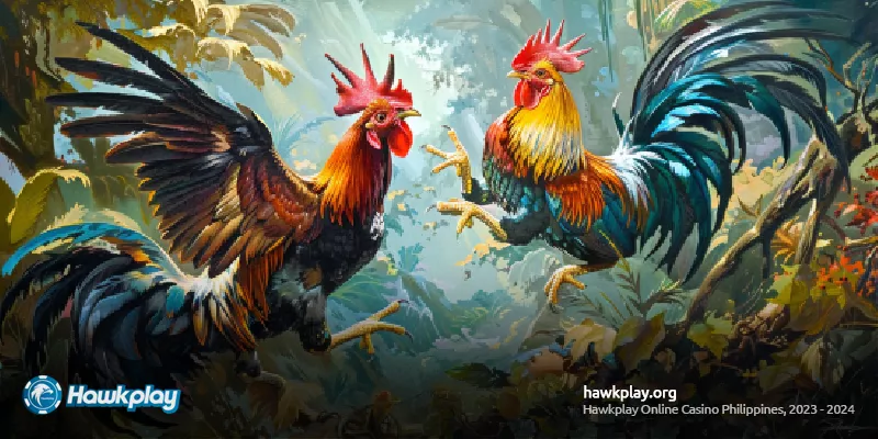 Why Register for Asian Cockfighting?
