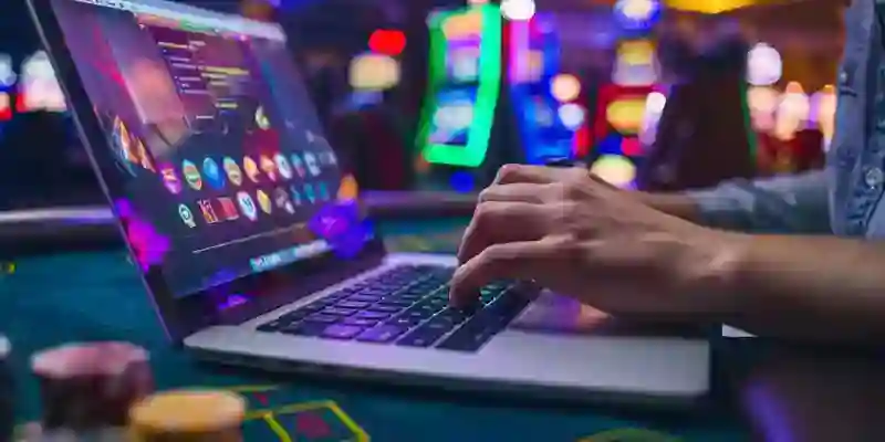 Navigating the Features of Live Cockfight Betting