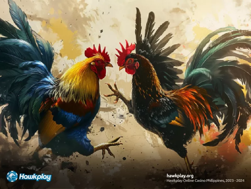 5 Essential Tips for Online Sabong Betting on Hawkplay Net - Hawkplay