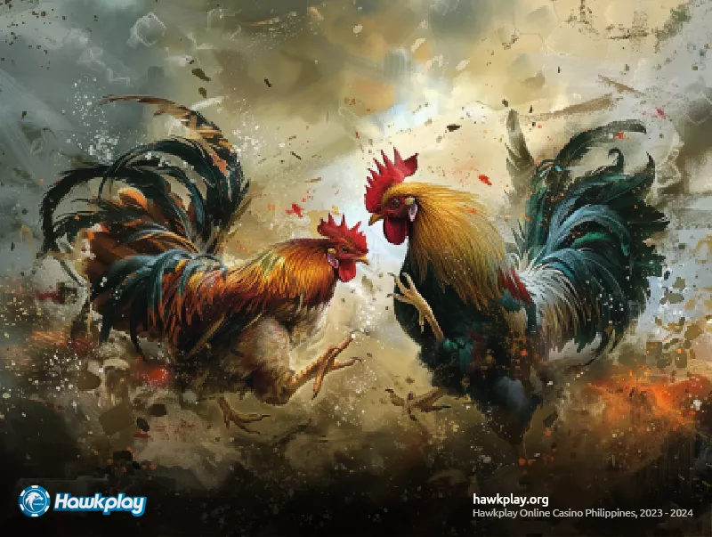 5 Steps to Successful Hawkplay 888 Login for Sabong Betting - Hawkplay