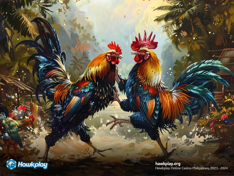 Hawkplay Sabong: The New Online Sensation in the Philippines - Hawkplay